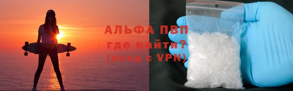спиды Строитель