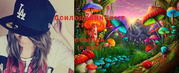 спиды Строитель