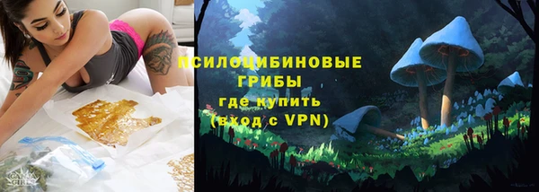 спиды Строитель