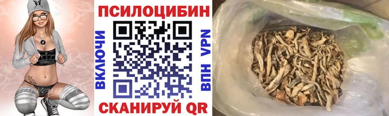 Псилоцибиновые грибы прущие грибы  Купить где  Заводоуковск 