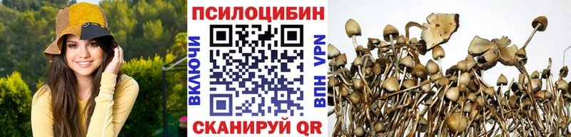Галлюциногенные грибы ЛСД Заводоуковск